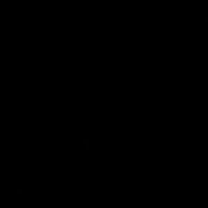 Meet your Posher, Daisy